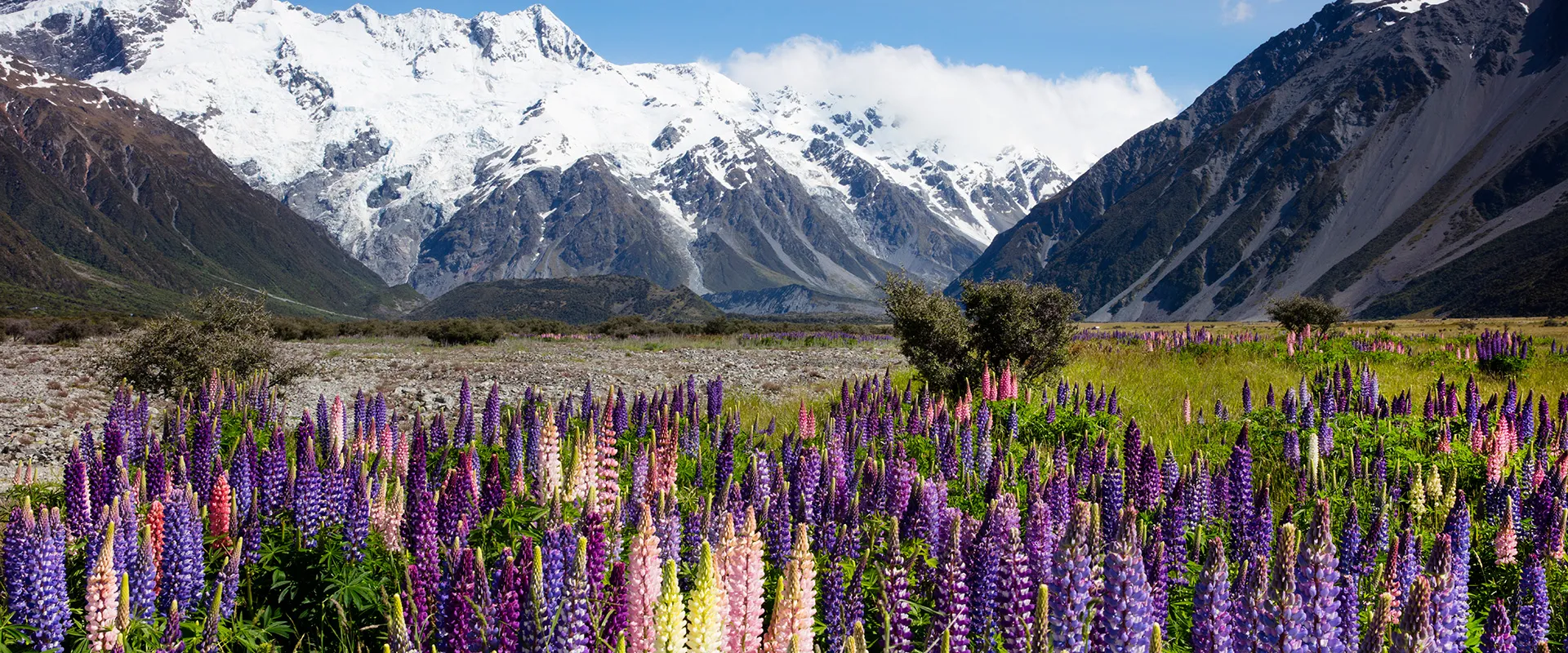 기본에 충실한 <font color='yellow'>정품여행</font>의 미학