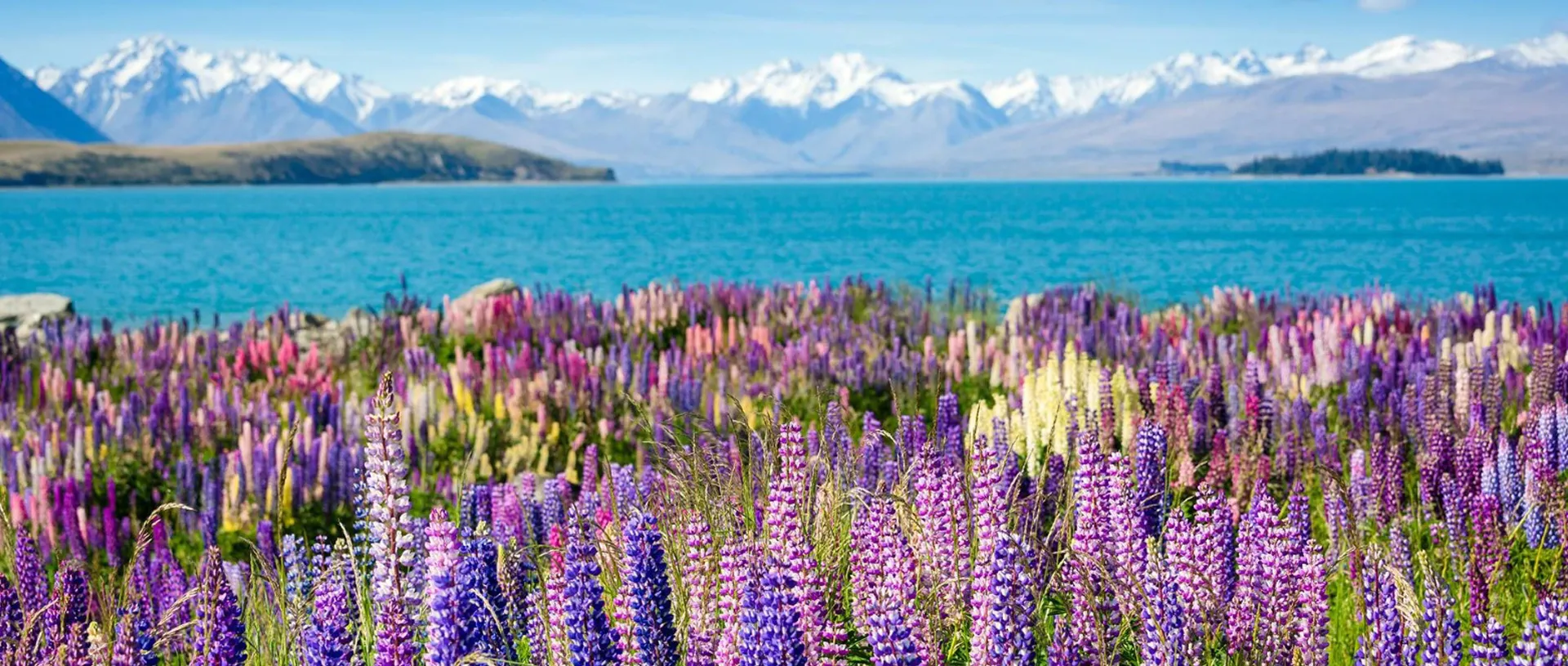 기본에 충실한 <font color='yellow'>정품여행</font>의 미학