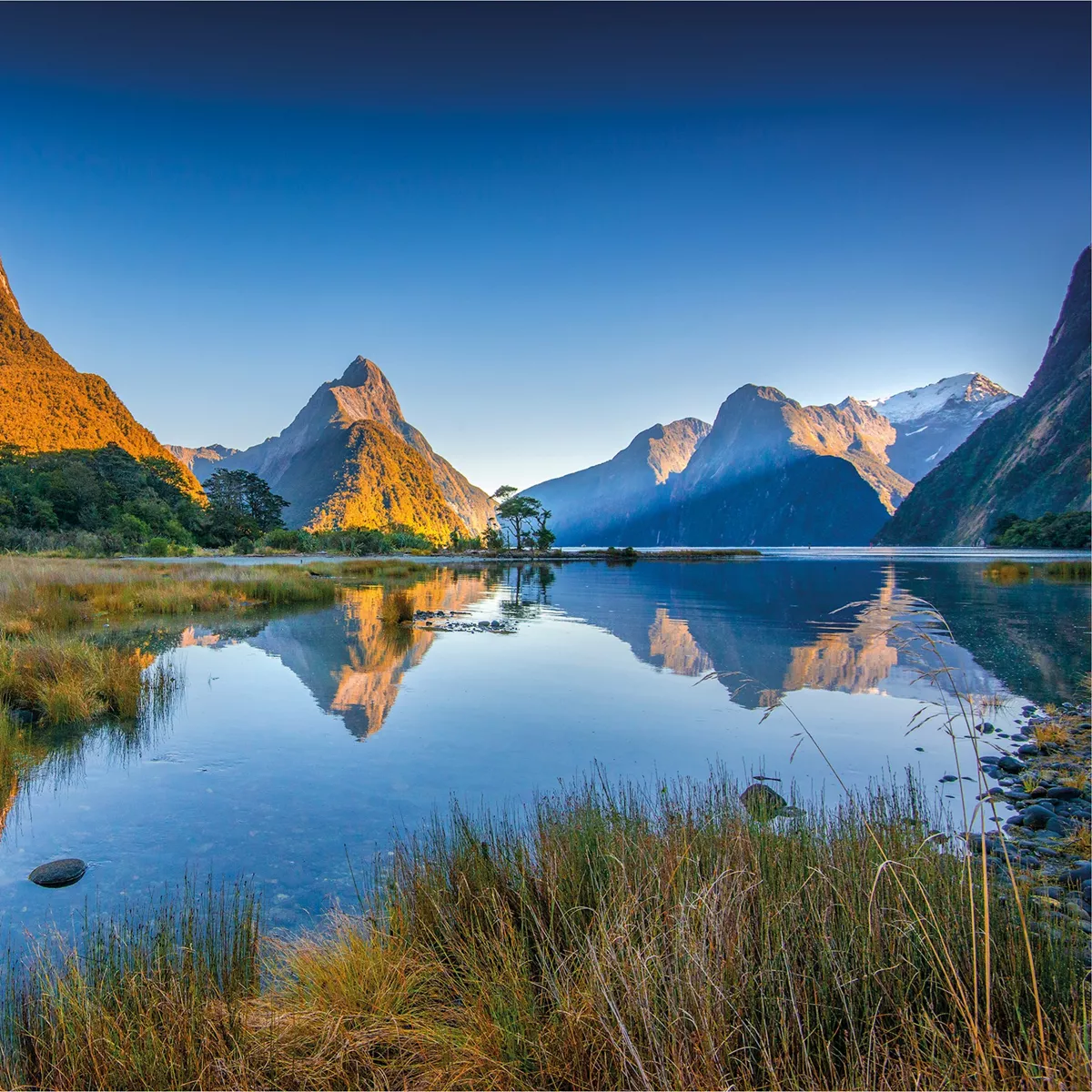 뉴질랜드 남섬 럭셔리 콜렉션 7일 - 대한항공 비즈니스 항공좌석 이용