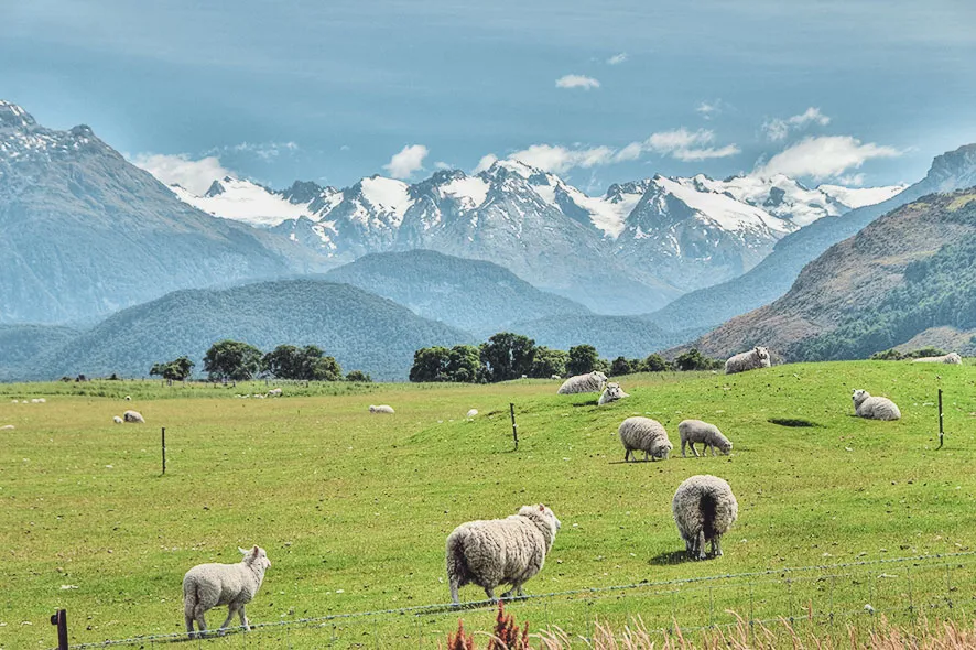 뉴질랜드 남북섬 스페셜 18일 (맞춤형 자유 + 조기예약 할인)