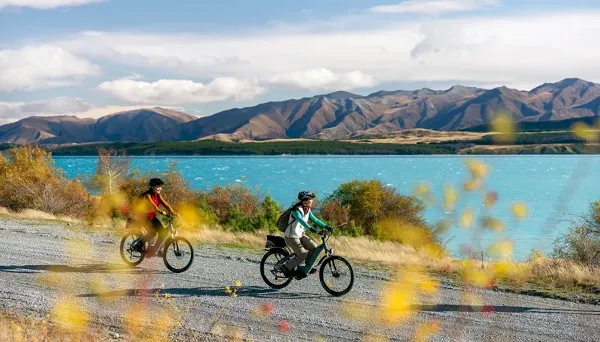 남섬 베이직 투어 9일 - 테카포 숙박